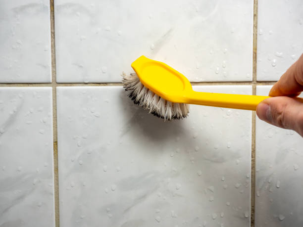 Best Best Mold Removal Companies  in Seven Oaks, SC